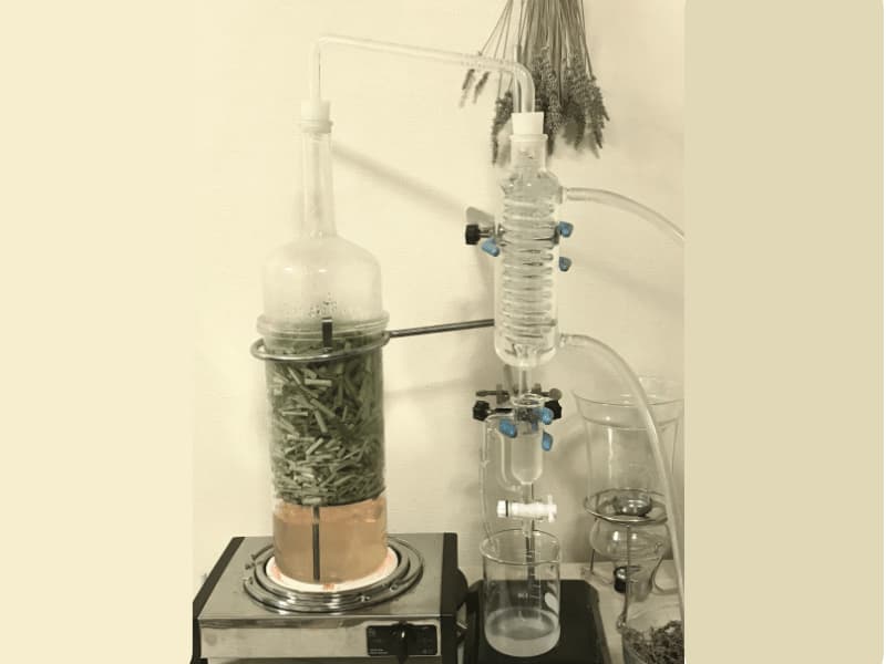 ハーブ蒸留体験
